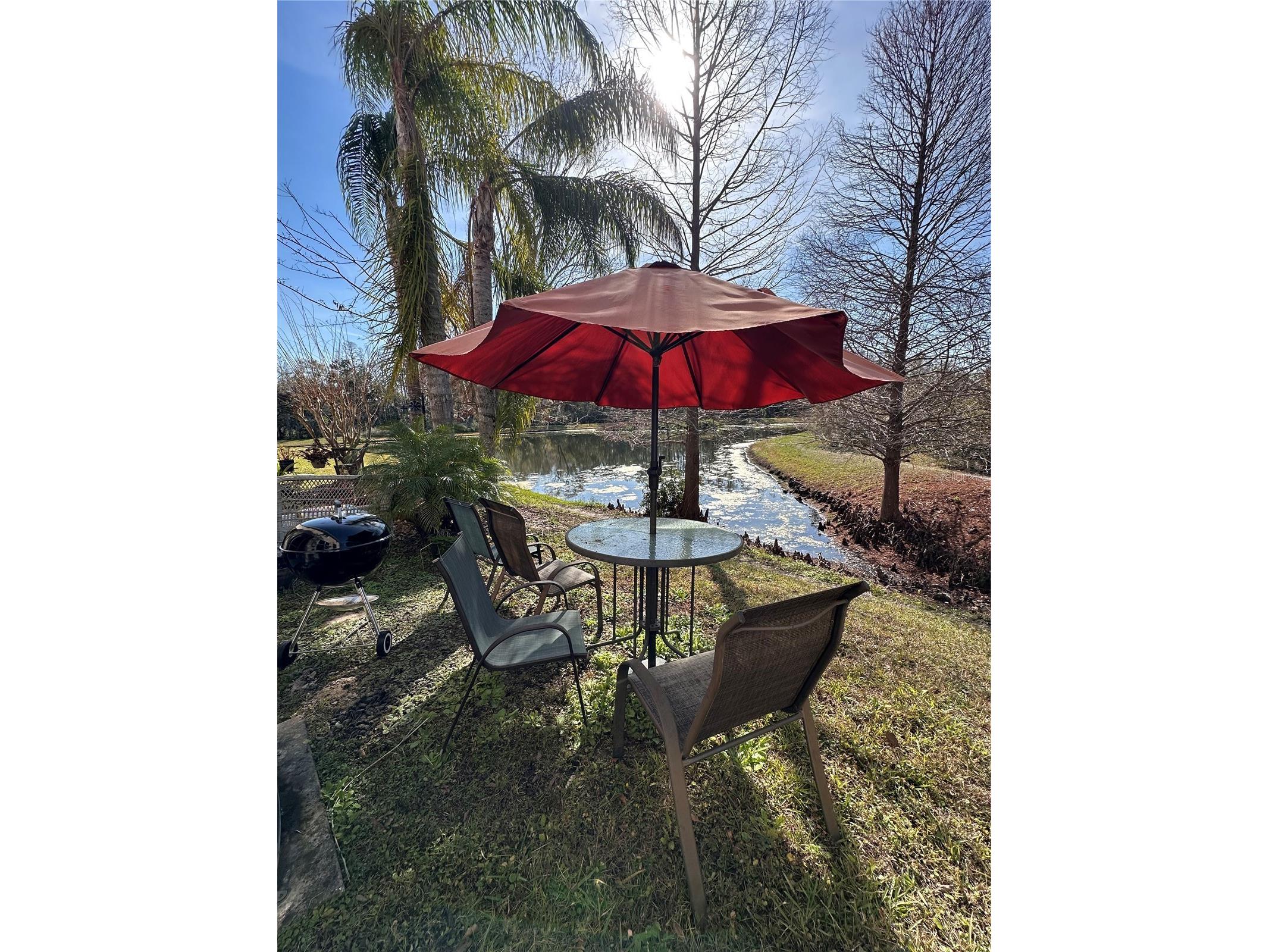 1042 N Sleepy Oak Drive Wesley Chapel FL 33543 TB8410488 image25