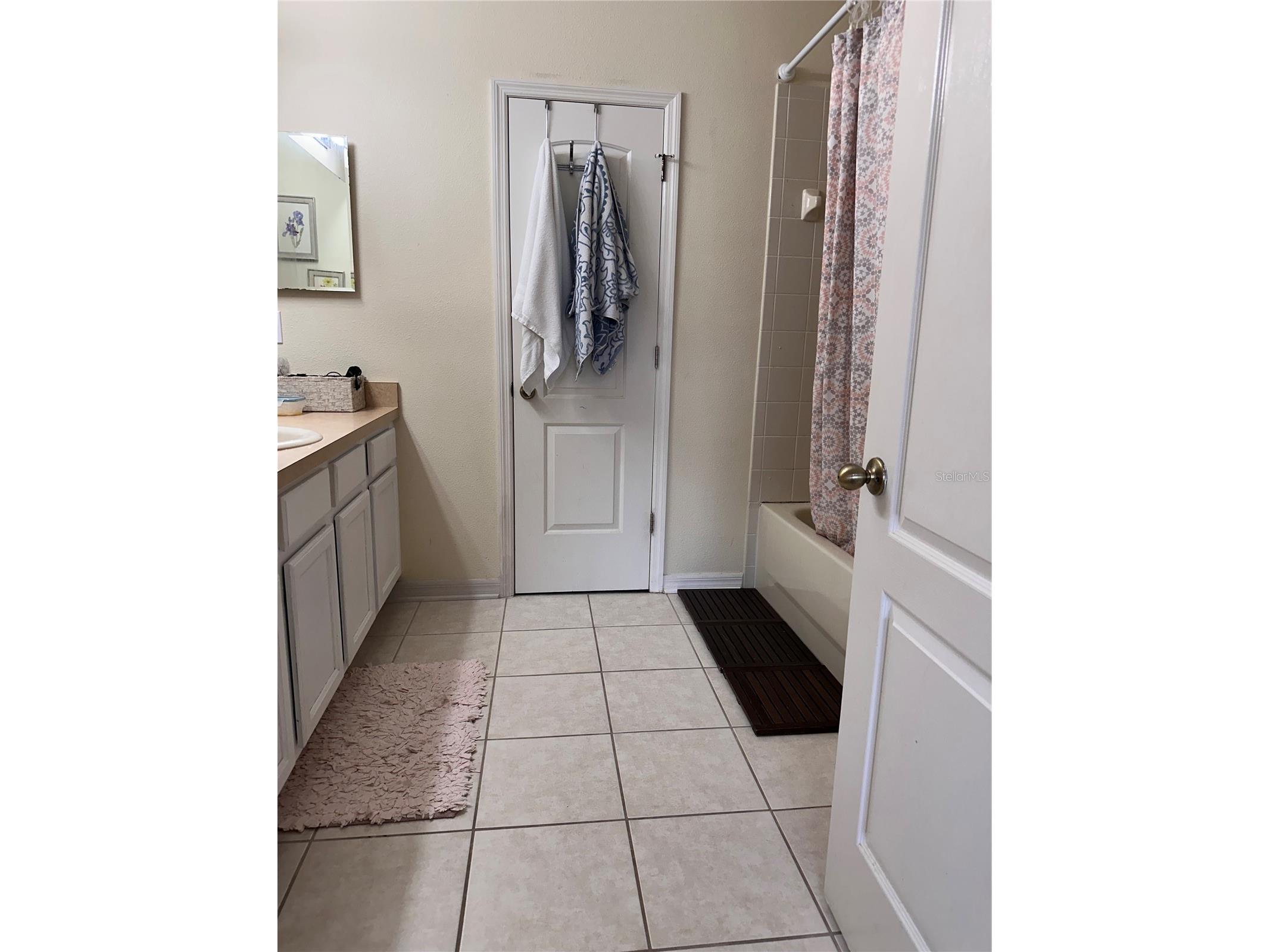 1042 N Sleepy Oak Drive Wesley Chapel FL 33543 TB8410488 image9