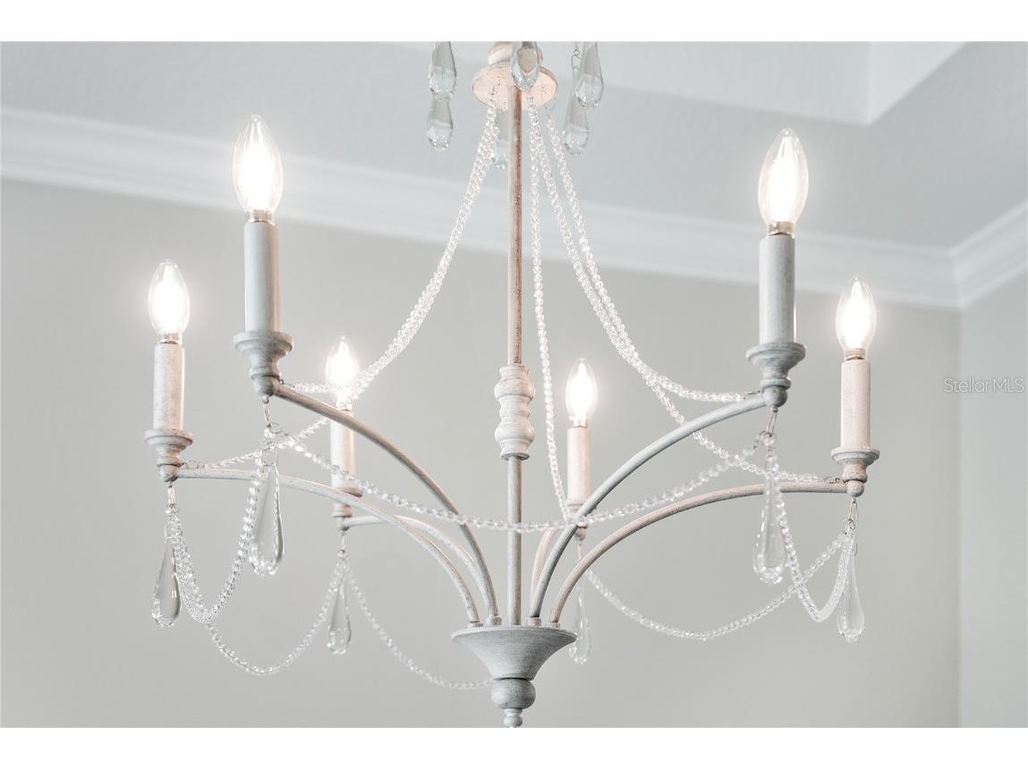 1042 Sugarloaf Key Loop Lady Lake FL 32159 G5097844 image24