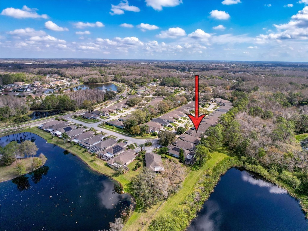 1042 Trafalgar Drive New Port Richey FL 34655 TB8356181 image1