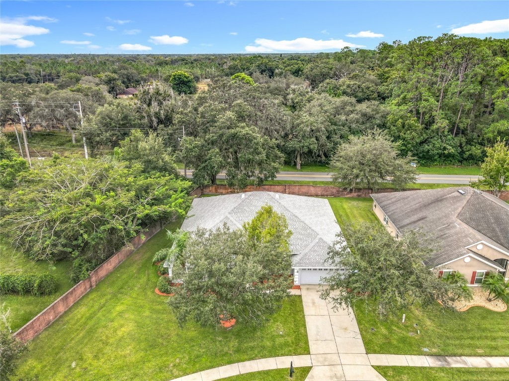 1042 Twisted Branch Lane Saint Cloud FL 34771 O6353836 image5