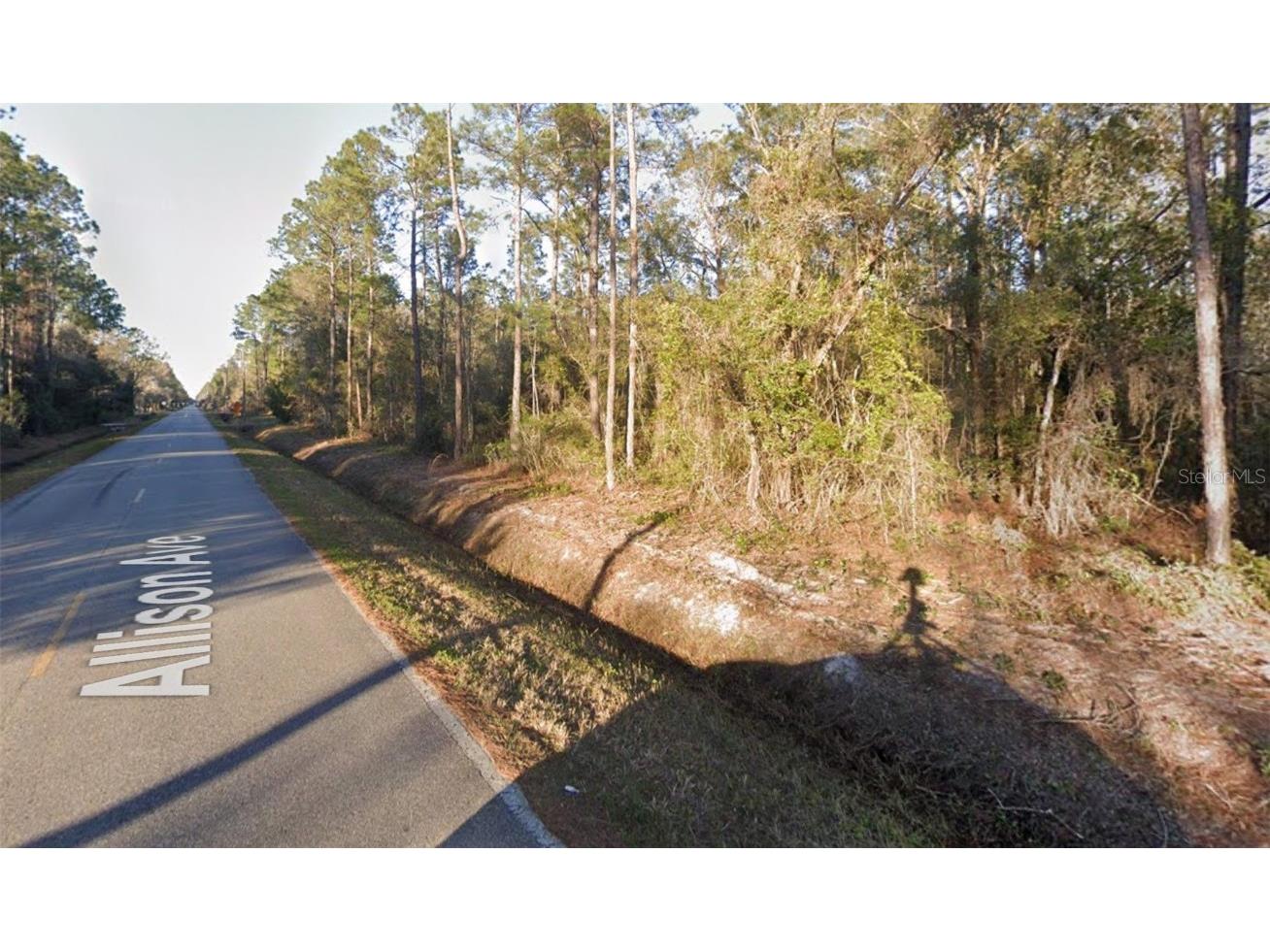 10420 Allison Avenue Hastings FL 32145 FC307294 image1