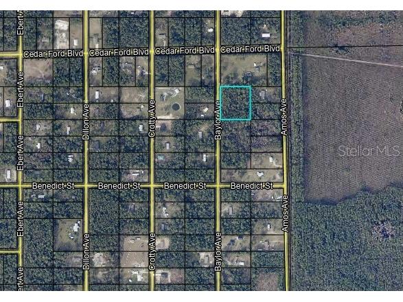 10420 Baylor Avenue Hastings FL 32145 FC312151 image1