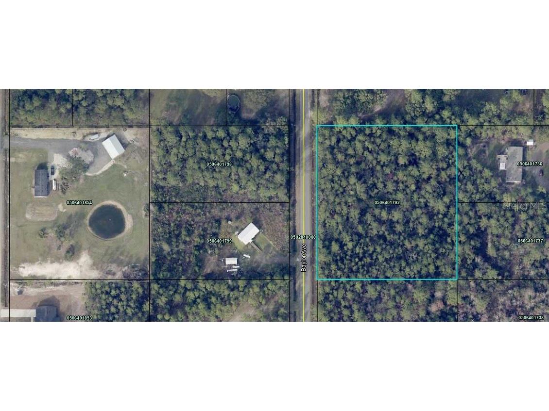 10420 Baylor Avenue Hastings FL 32145 FC312151 image2