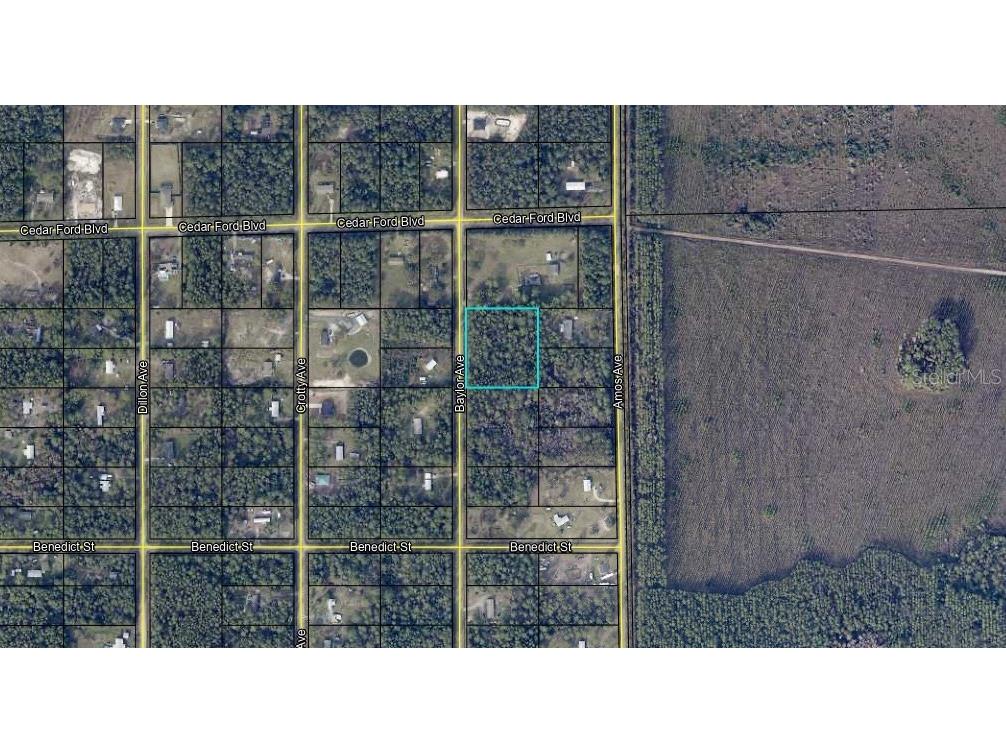 10420 Baylor Avenue Hastings FL 32145 FC312151 image3