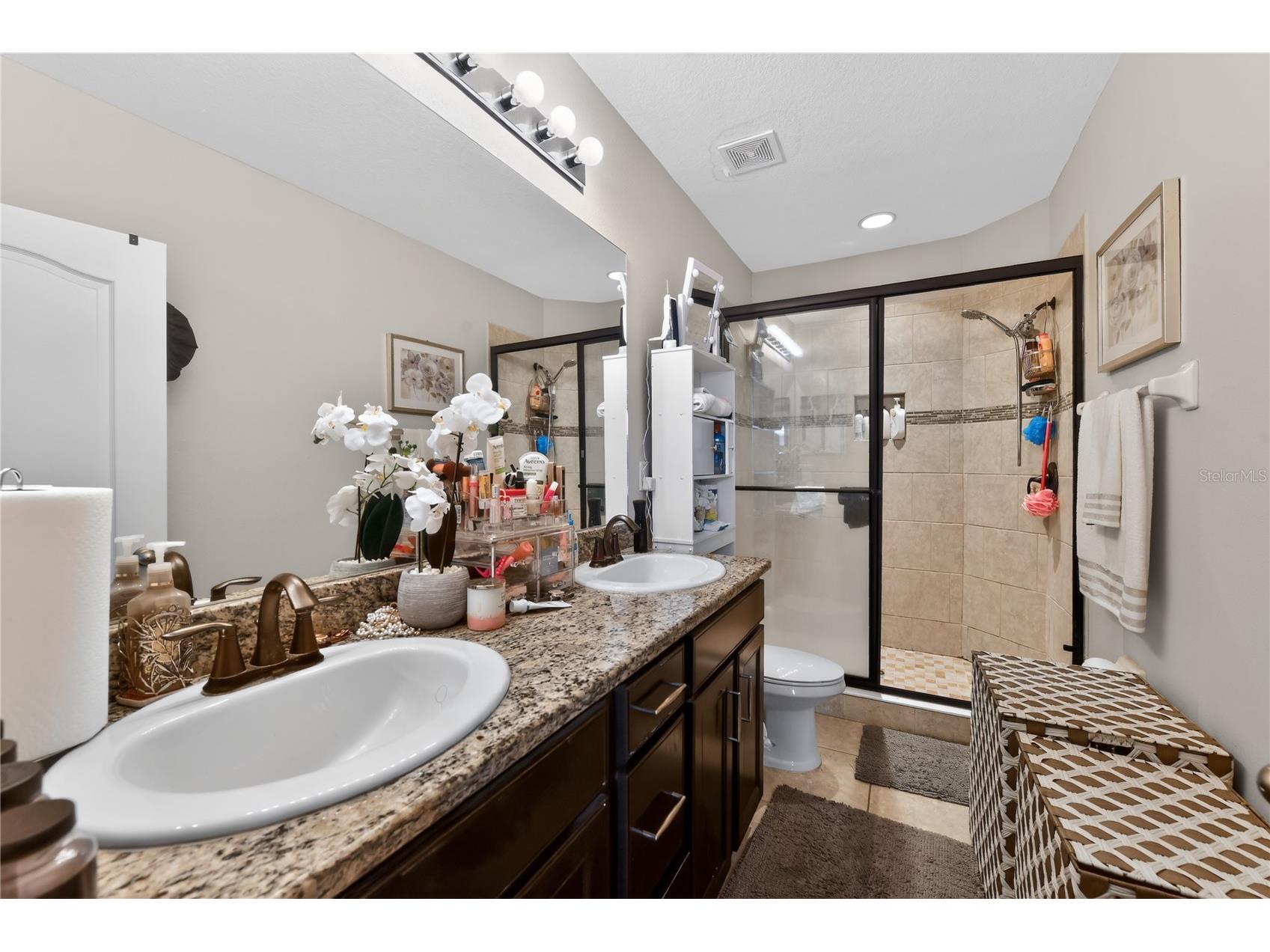 10420 Butterfly Wing Court Riverview FL 33578 O6396226 image18