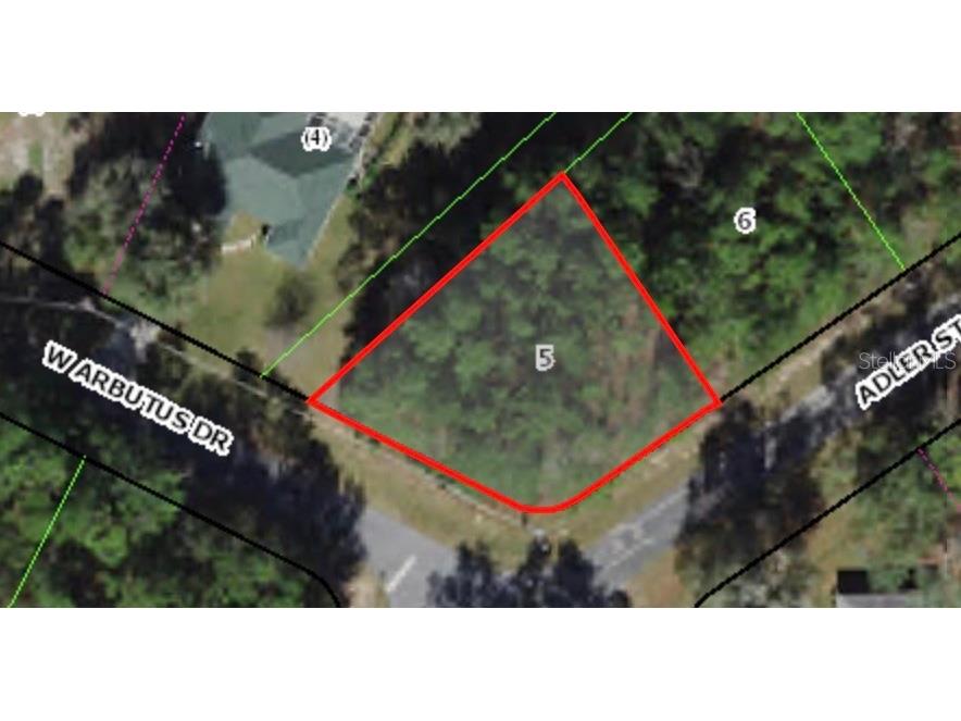 10420 N Adler Drive Citrus Springs FL 34434 A4577448 image1