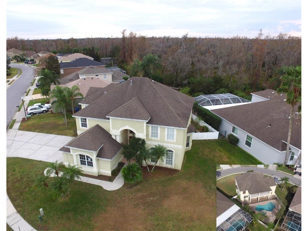 10420 Tecoma Drive Trinity FL 34655 W7851913 image1