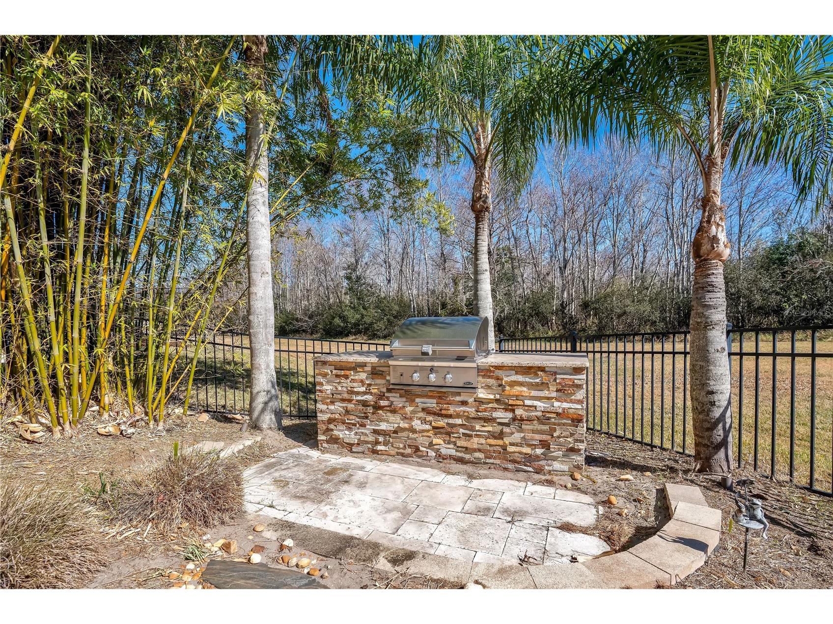 10420 Wittenberg Way Orlando FL 32832 - LAKE HART O6380657 image75