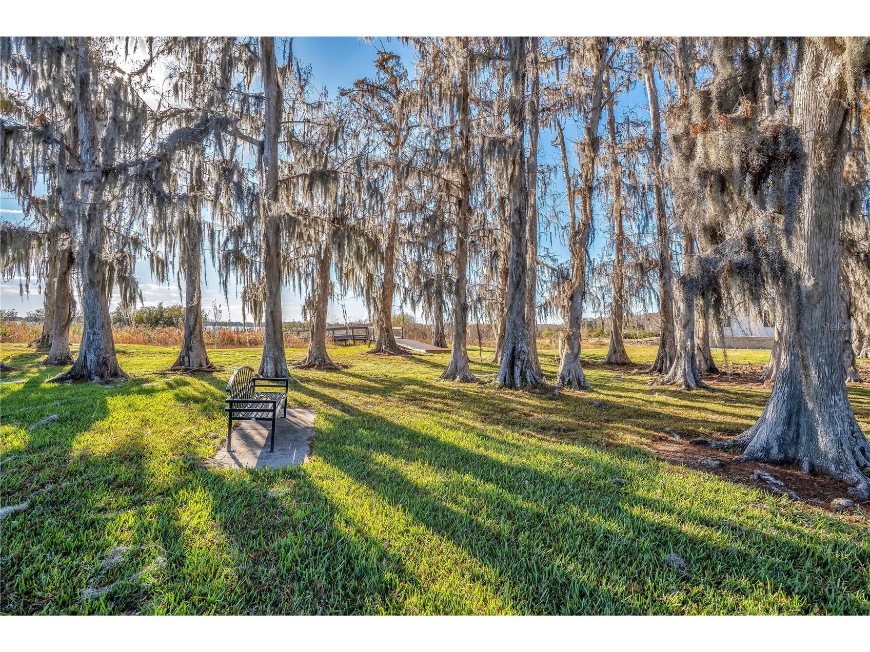 10420 Wittenberg Way Orlando FL 32832 - LAKE HART O6380657 image81