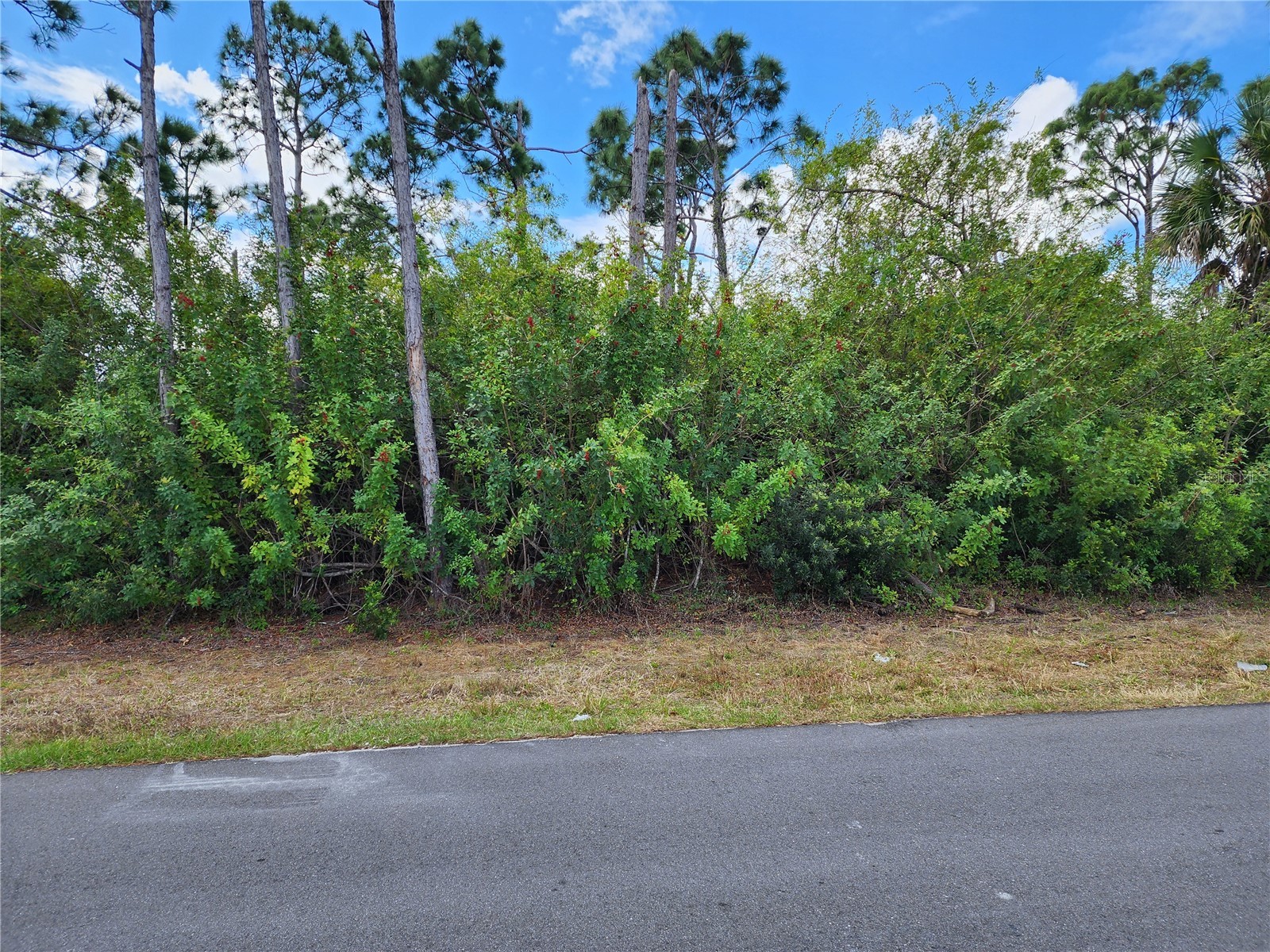 10421 Reims Avenue Englewood FL 34224 A4688468 image2