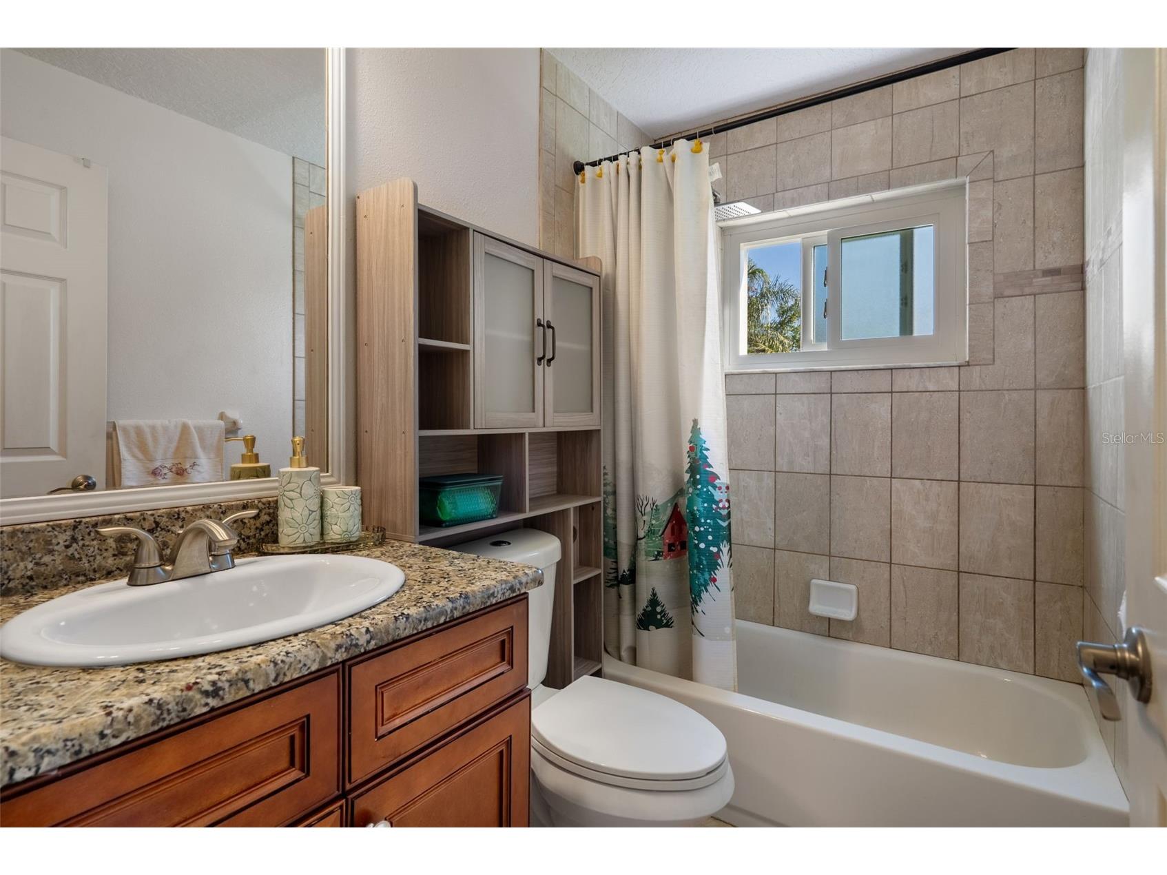 10421 Templewood Court Spring Hill FL 34608 W7881852 image38