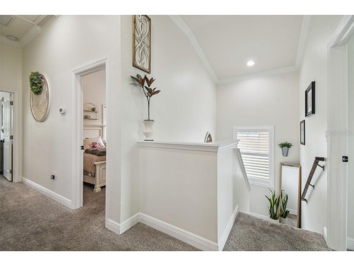 10422 Fenceline Road New Port Richey FL 34655 TB8392868 image42