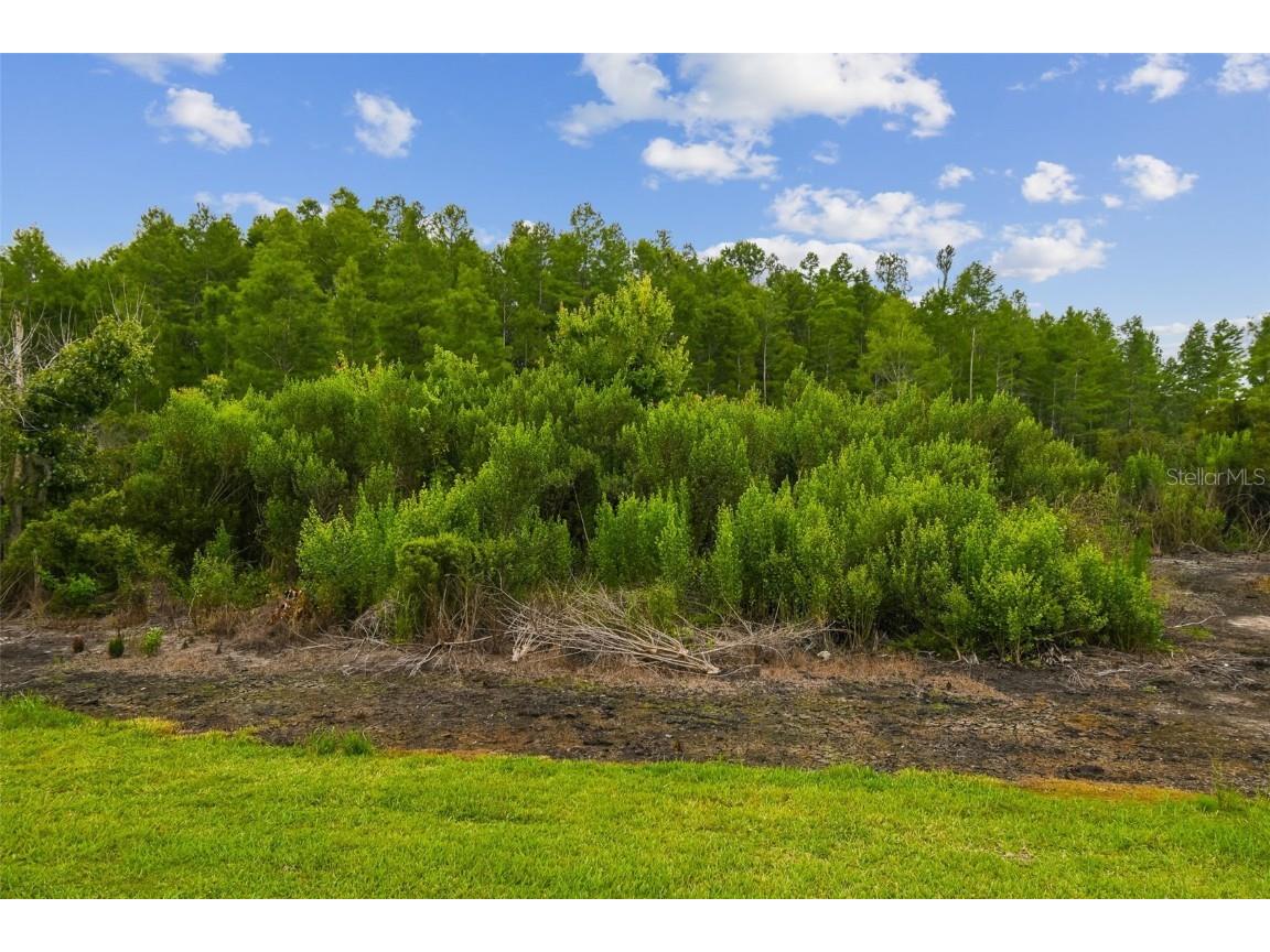 10422 Fenceline Road New Port Richey FL 34655 TB8392868 image70