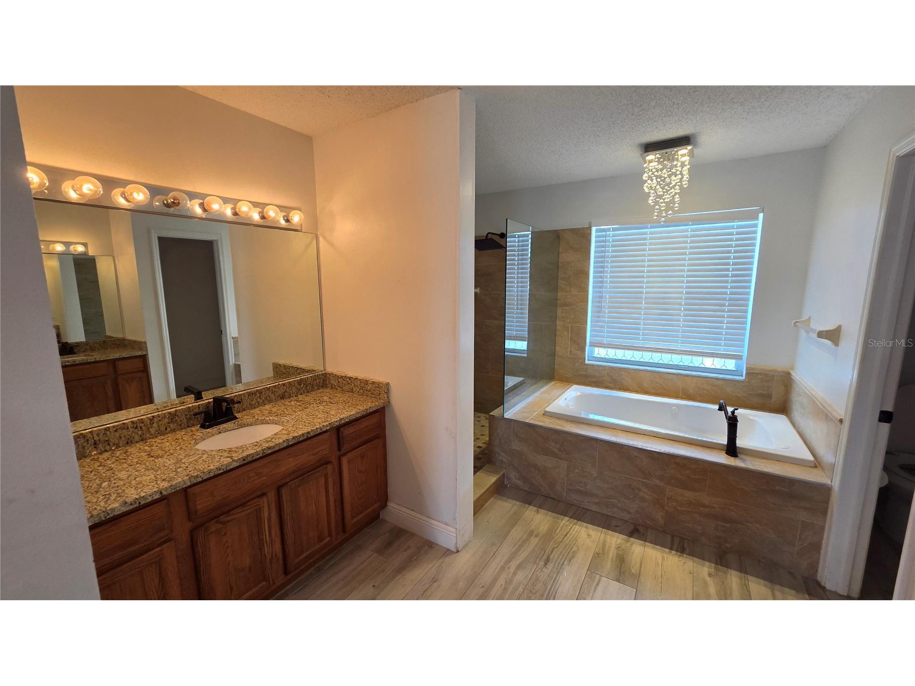 10422 Glen Willow Lane Tampa FL 33647 TB8510880 image21