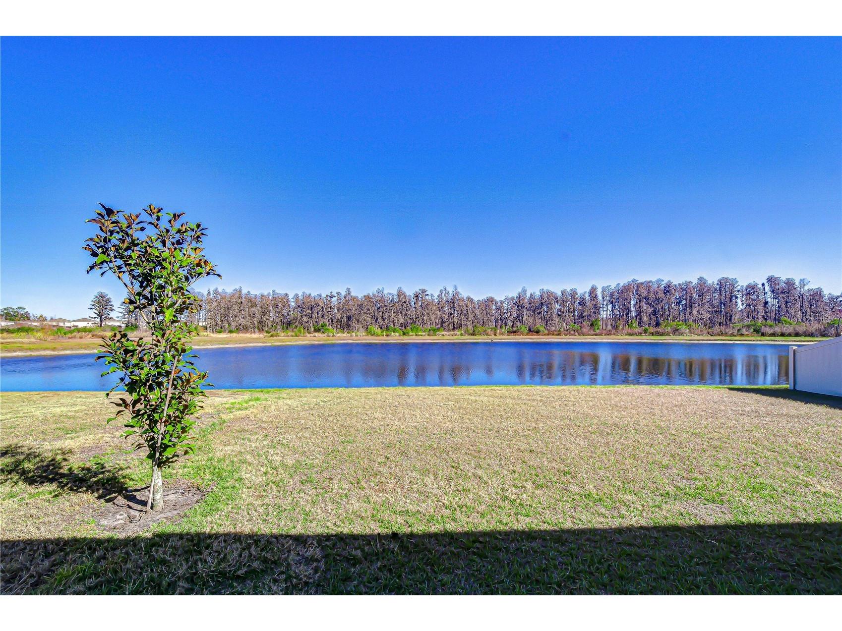10422 Gliding Eagle Way Land O Lakes FL 34638 TB8504167 image47