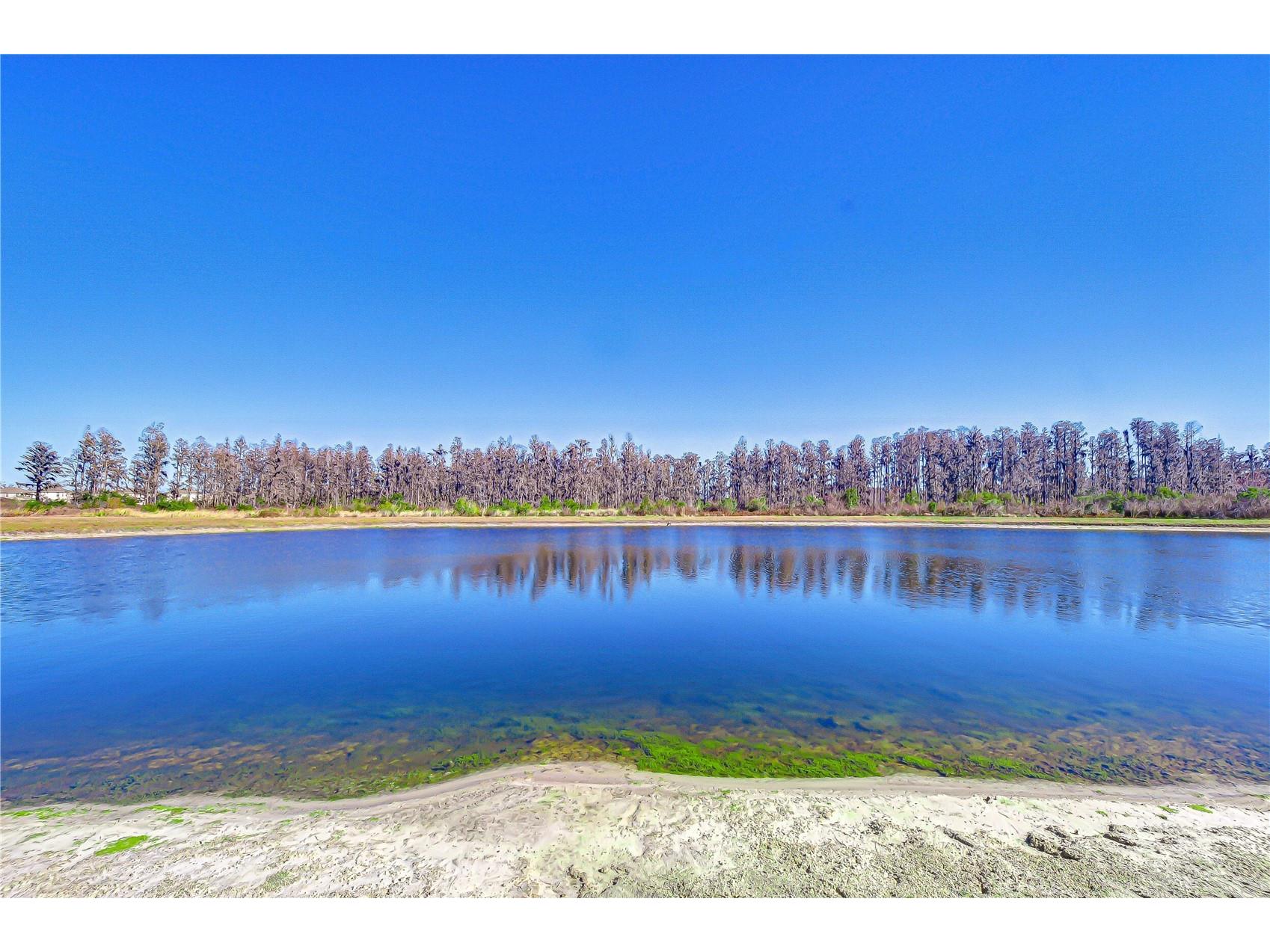 10422 Gliding Eagle Way Land O Lakes FL 34638 TB8504167 image50
