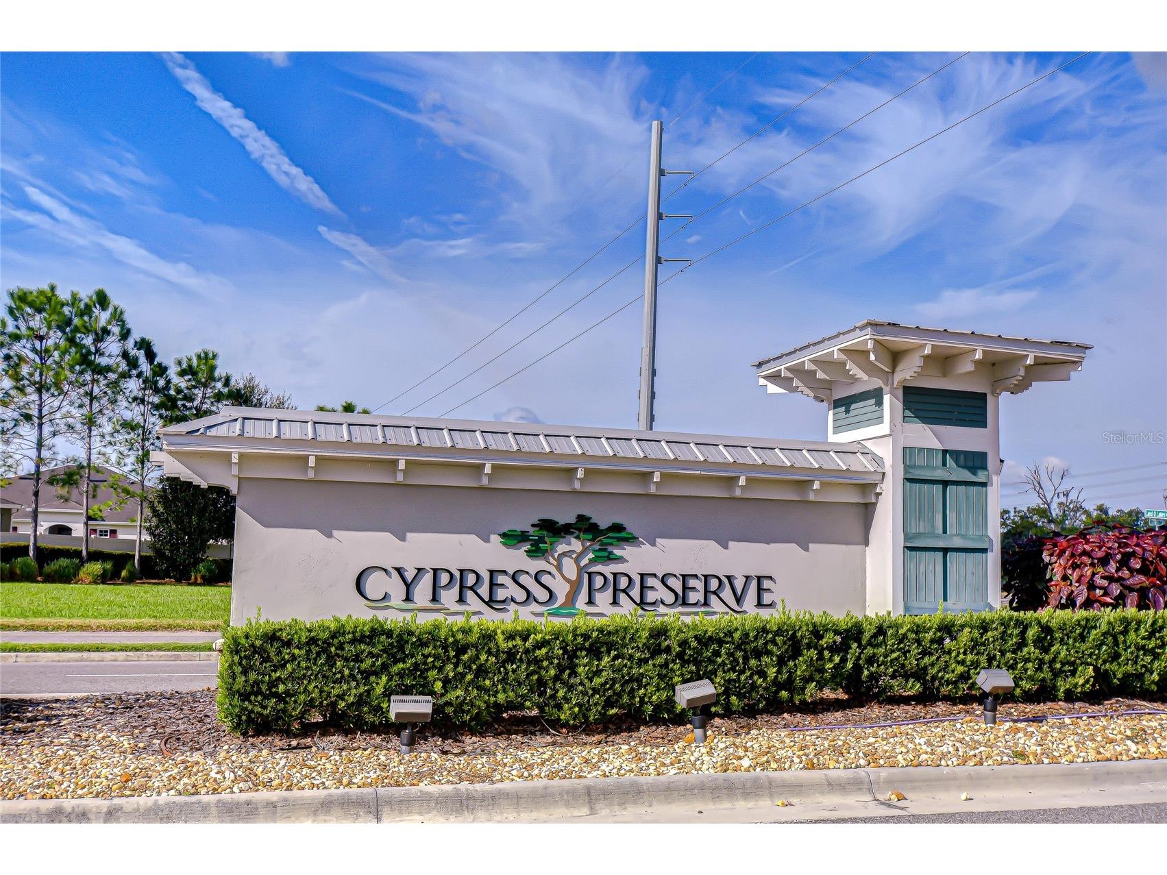 10422 Gliding Eagle Way Land O Lakes FL 34638 TB8504167 image51