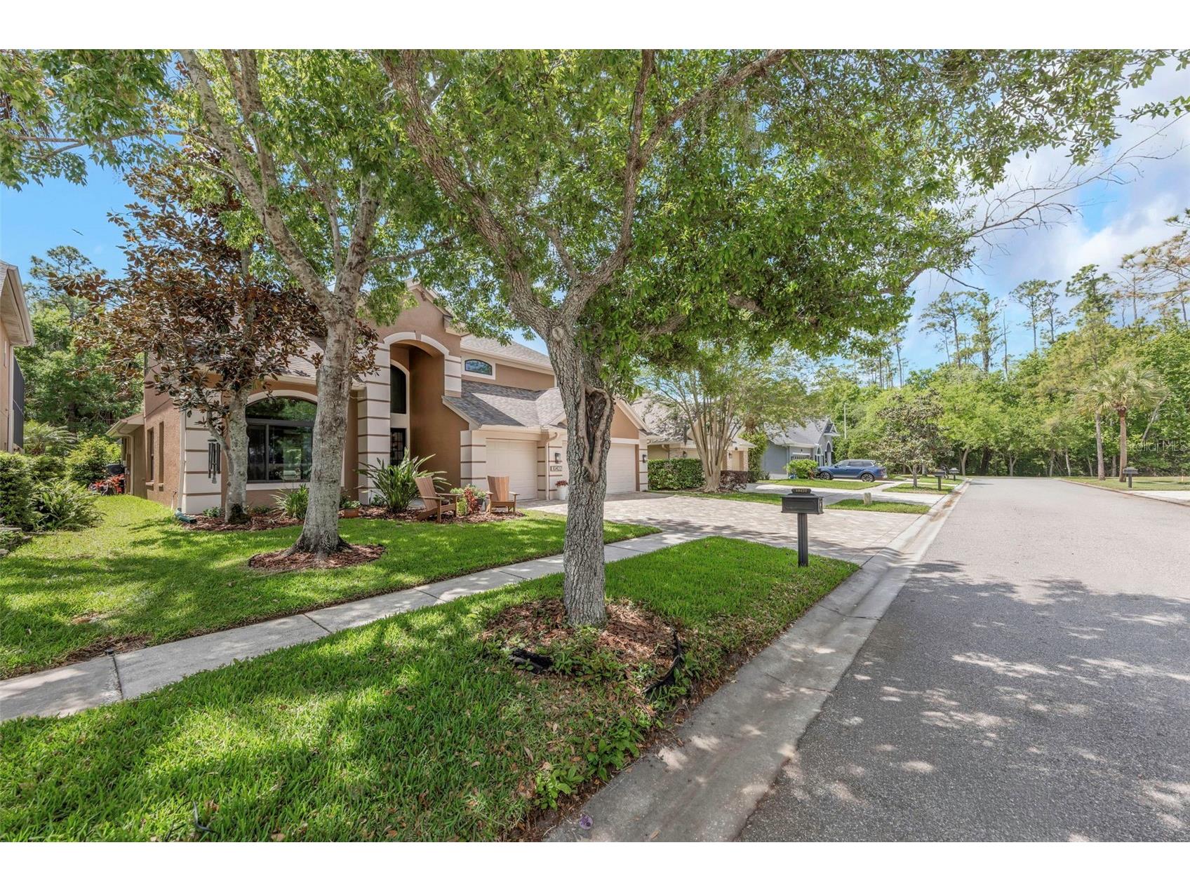 10422 Greendale Drive Tampa FL 33626 TB8496378 image3