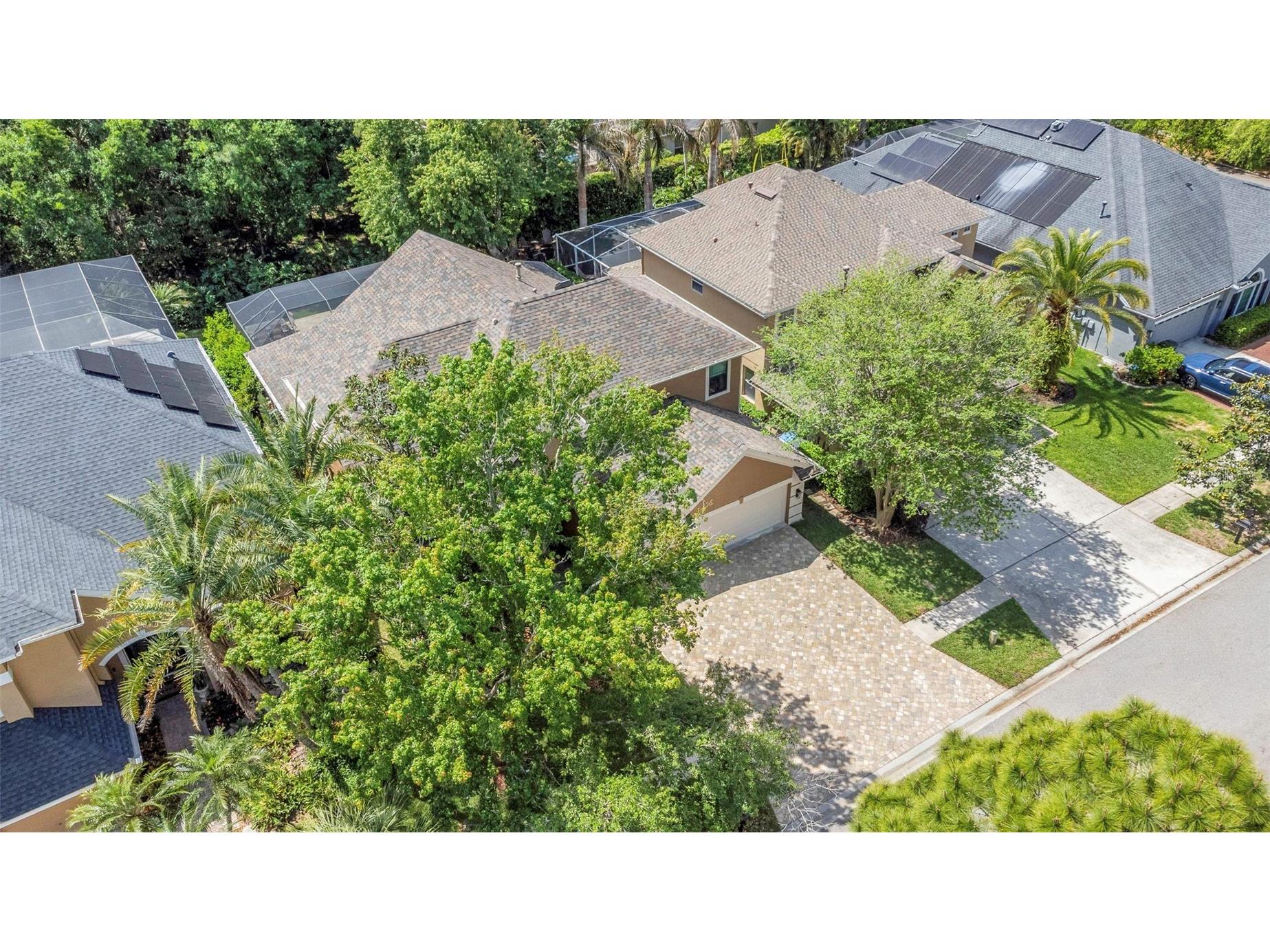 10422 Greendale Drive Tampa FL 33626 TB8496378 image69