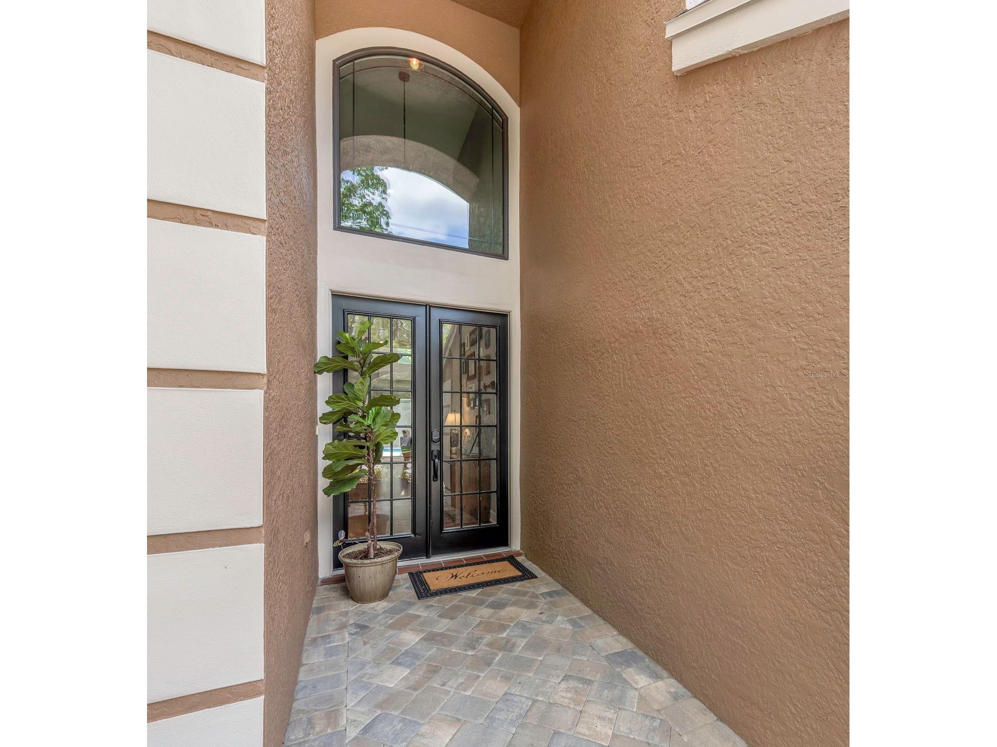 10422 Greendale Drive Tampa FL 33626 TB8496378 image7
