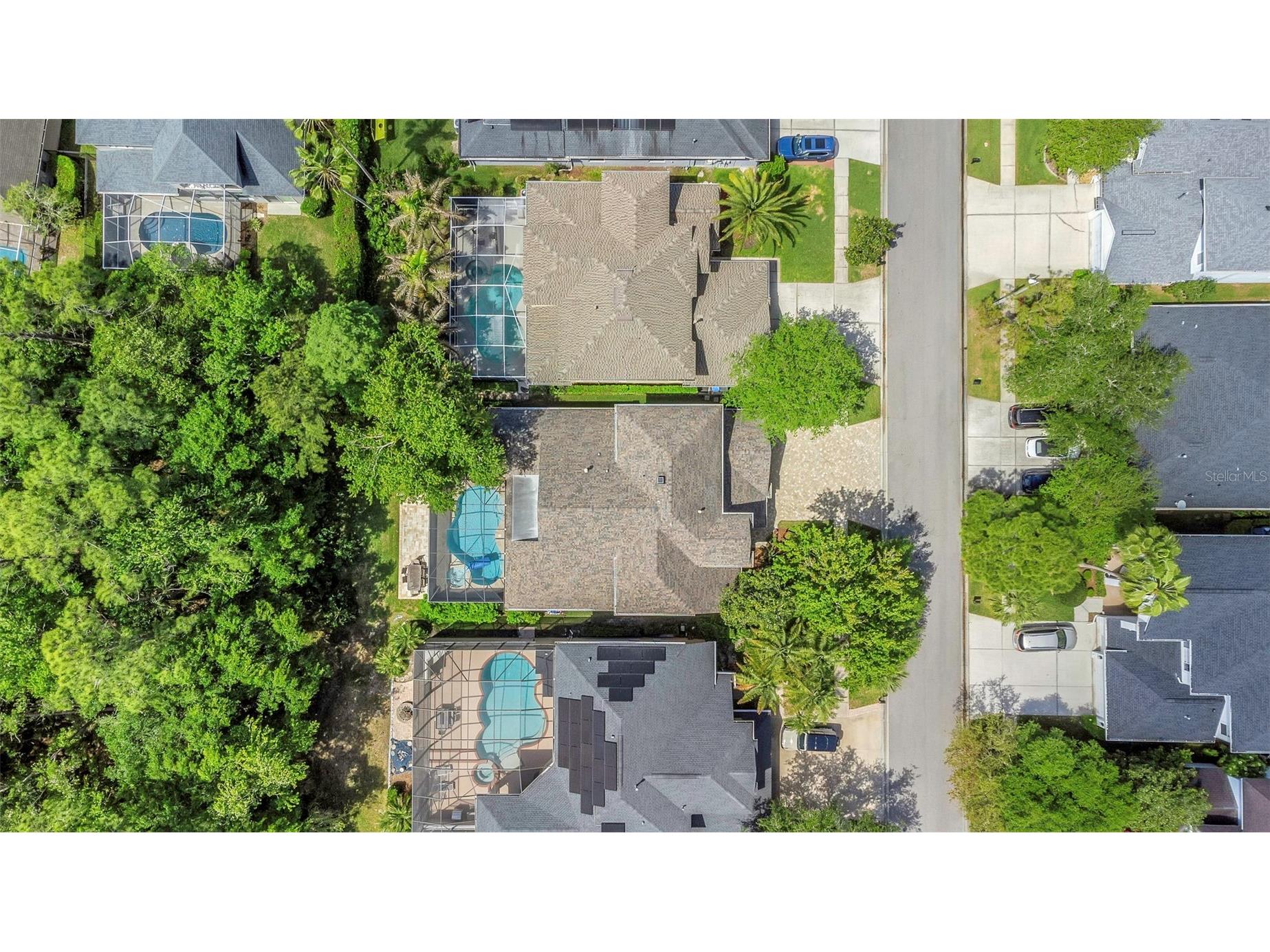 10422 Greendale Drive Tampa FL 33626 TB8496378 image76