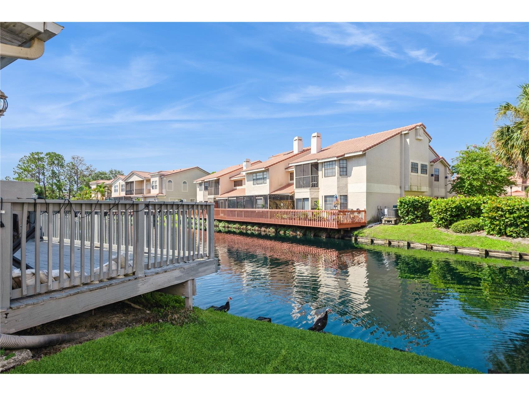 10422 La Mirage Court Tampa FL 33615 TB8407442 image19