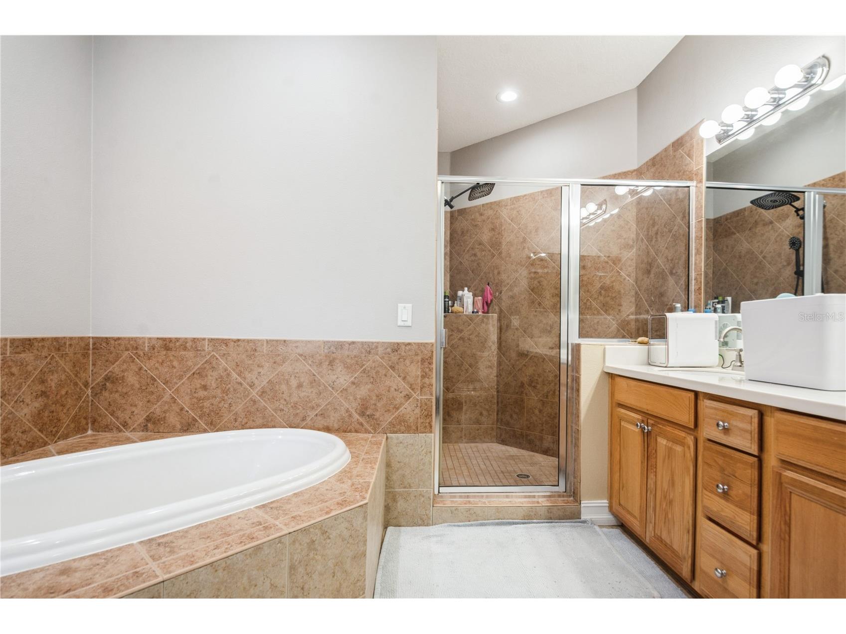 10422 La Mirage Court Tampa FL 33615 TB8407442 image25