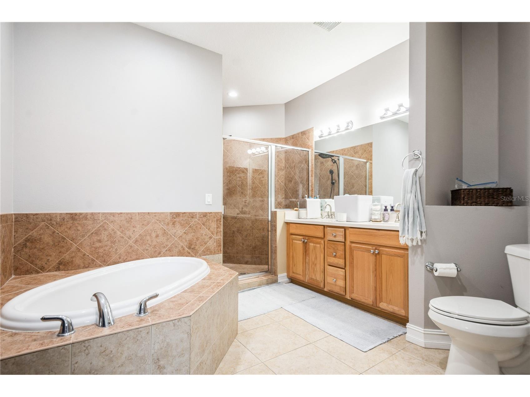 10422 La Mirage Court Tampa FL 33615 TB8407442 image26