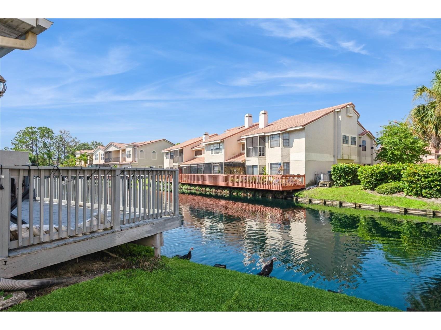 10422 La Mirage Court Tampa FL 33615 TB8505897 image17