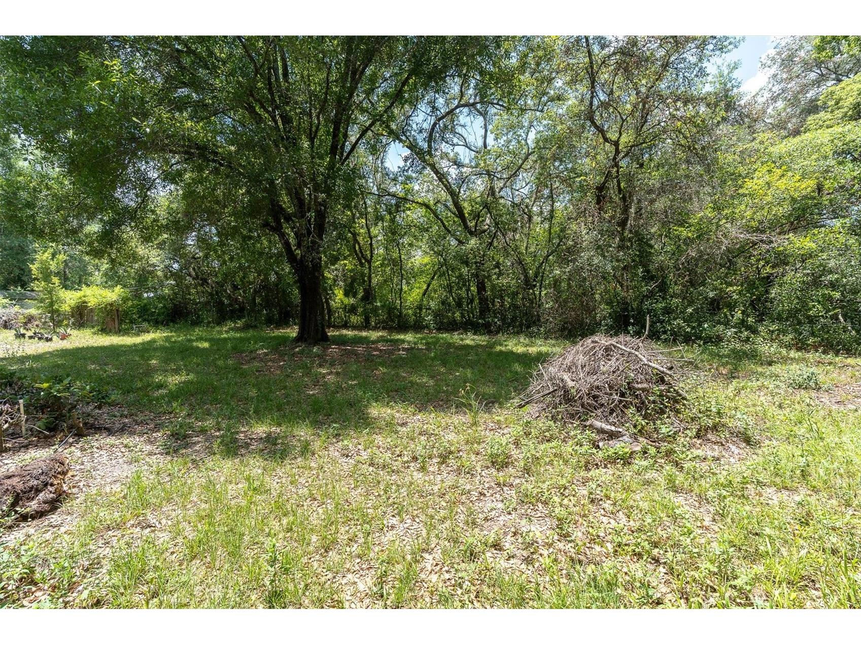 10422 N Woodmere Road Tampa FL 33617 TB8510054 image35