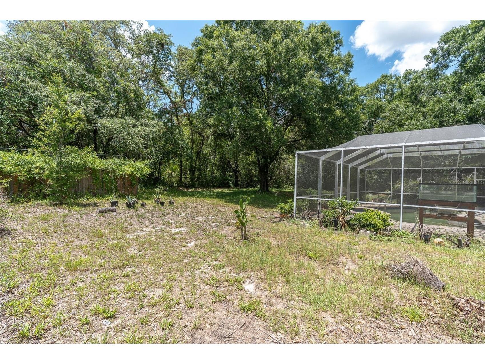 10422 N Woodmere Road Tampa FL 33617 TB8510054 image38