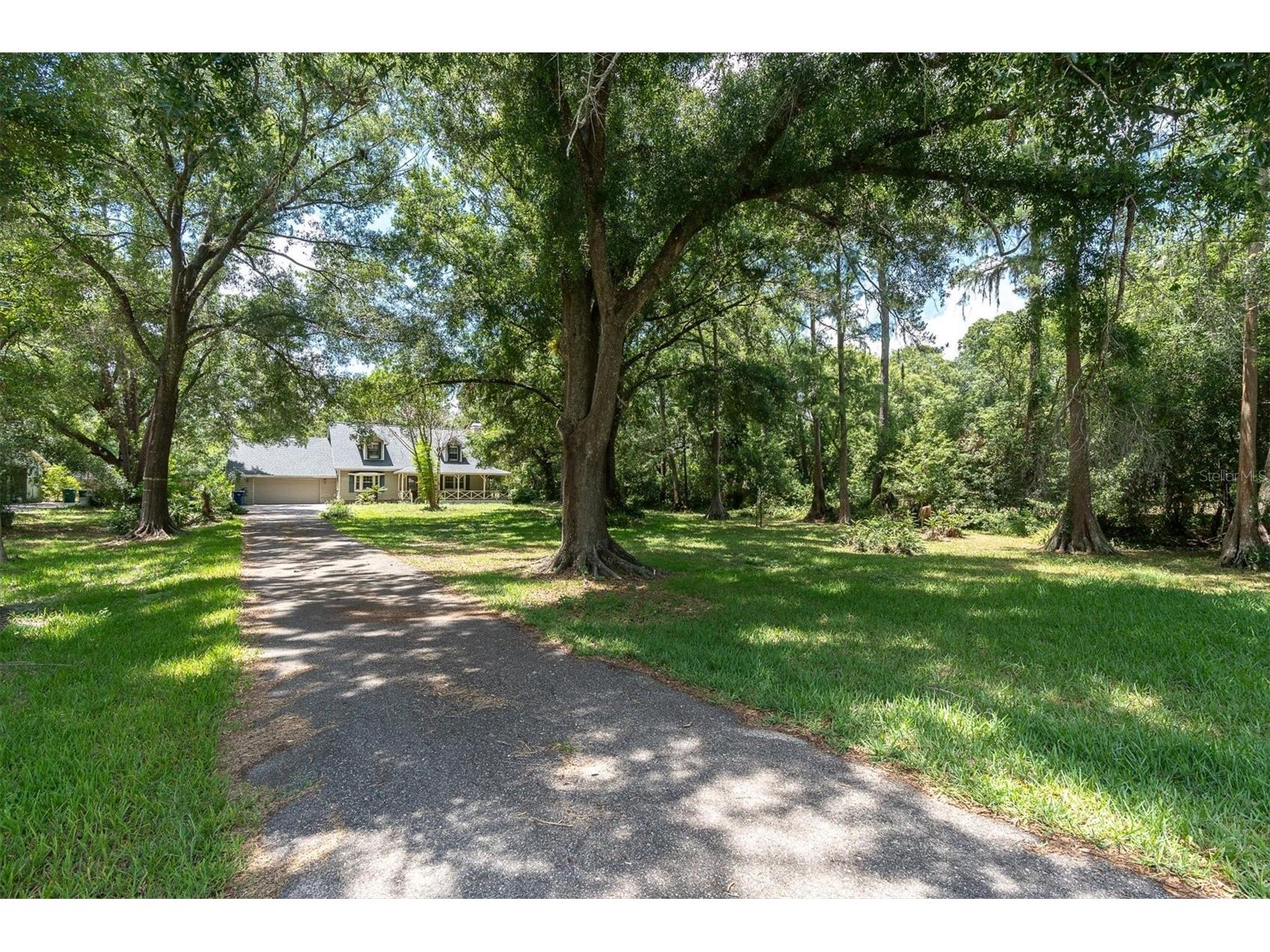 10422 N Woodmere Road Tampa FL 33617 TB8510054 image40