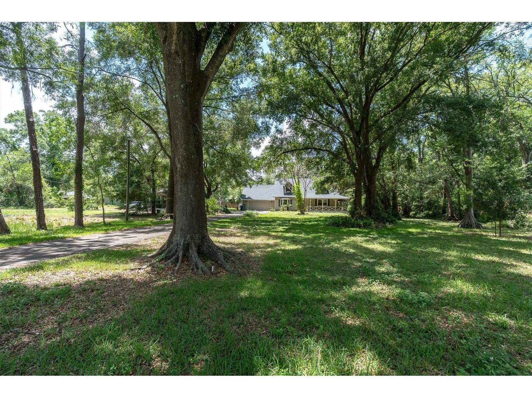 10422 N Woodmere Road Tampa FL 33617 TB8510054 image41