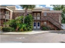 10423 Carrollbrook Circle #203 Tampa FL 33618 T3403949 image1