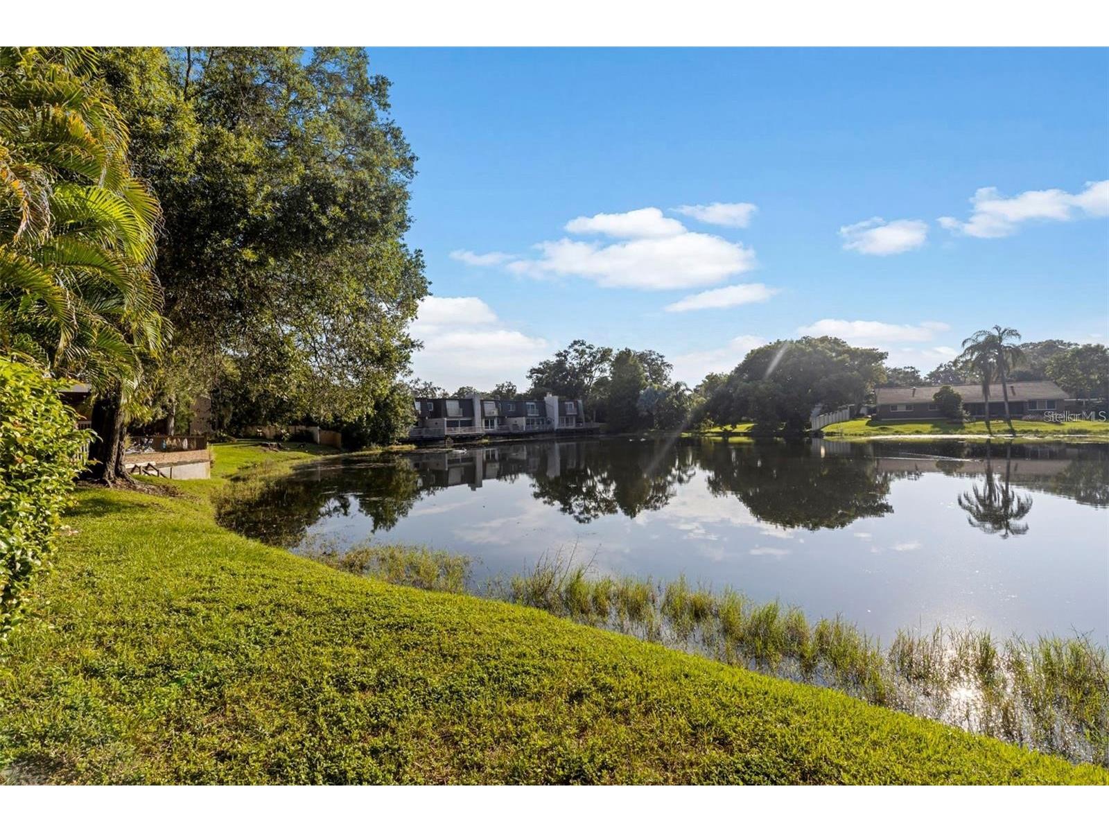 10423 Carrollbrook Circle #203 Tampa FL 33618 TB8475544 image2