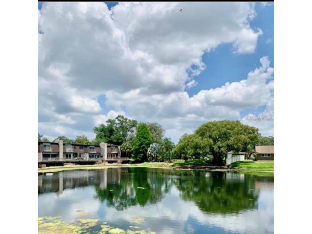 10423 Carrollbrook Court #201 Tampa FL 33618 TB8427875 image8