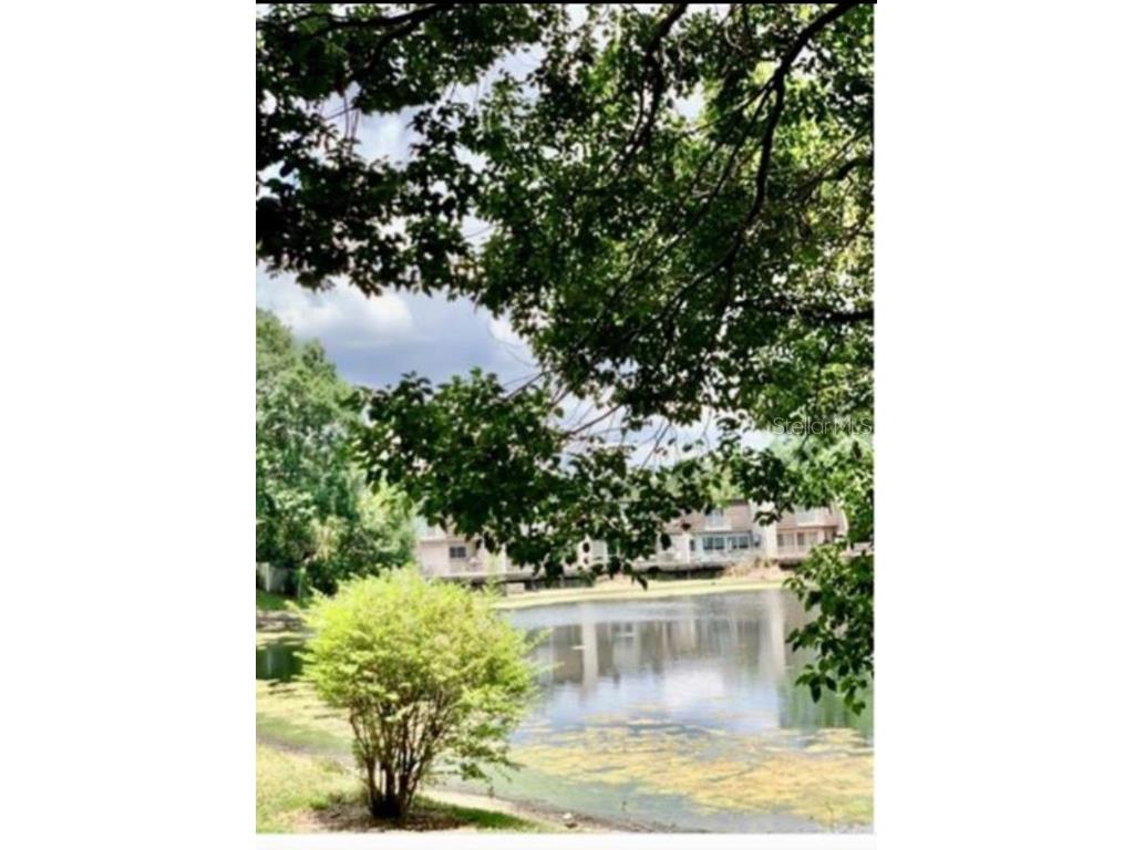 10423 Carrollbrook Court #201 Tampa FL 33618 TB8427875 image9