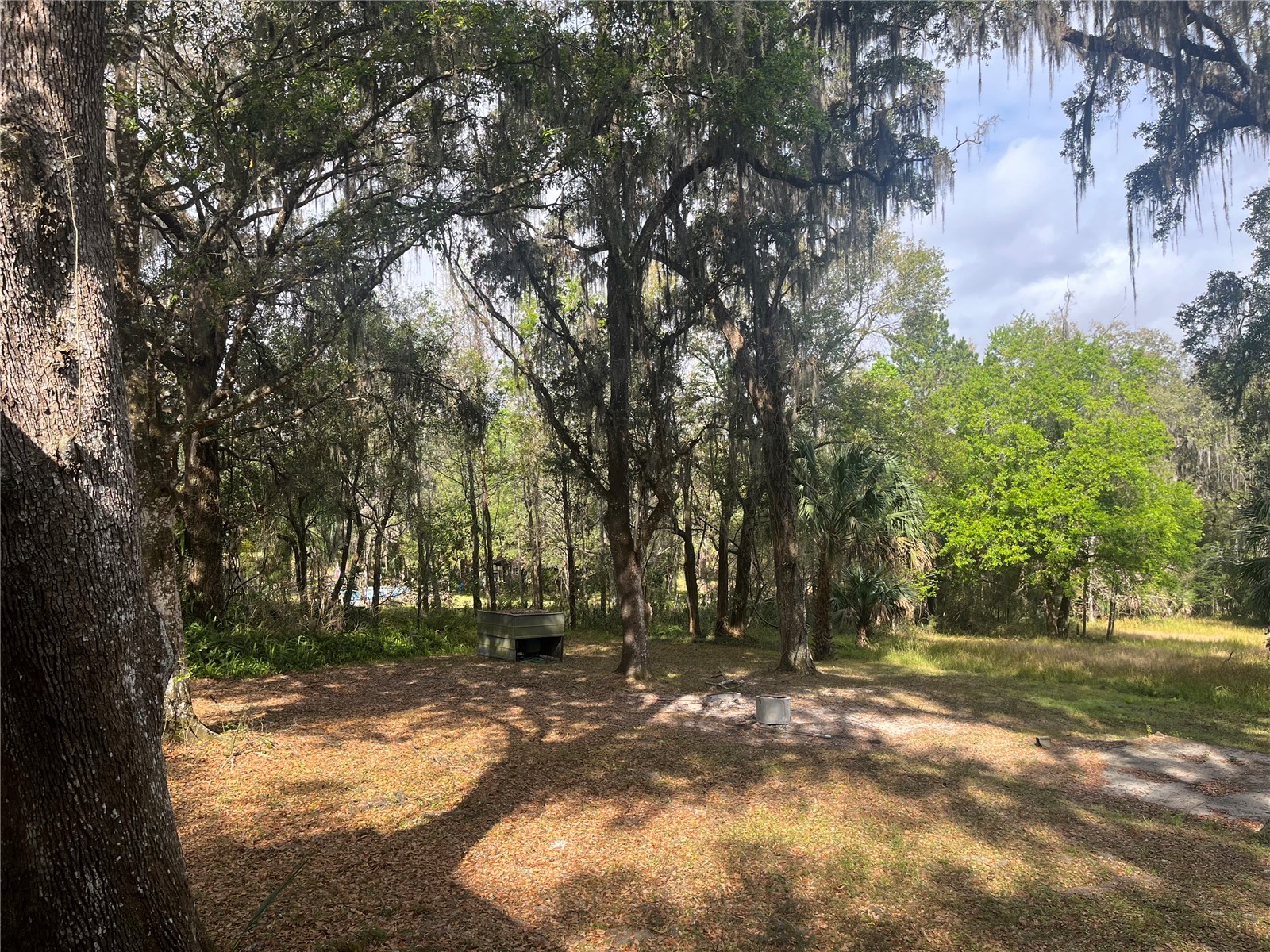 10423 Cheever Road Brooksville FL 34601 W7883559 image38