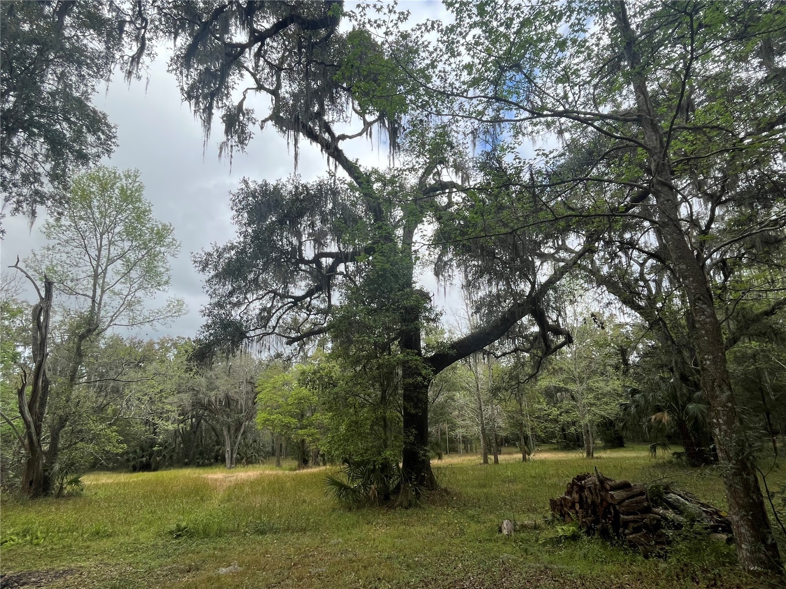 10423 Cheever Road Brooksville FL 34601 W7883559 image39