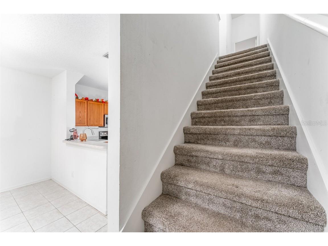 10423 Heron Lake Drive Riverview FL 33578 TB8438603 image28