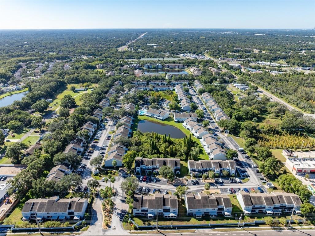 10423 Heron Lake Drive Riverview FL 33578 TB8438603 image38