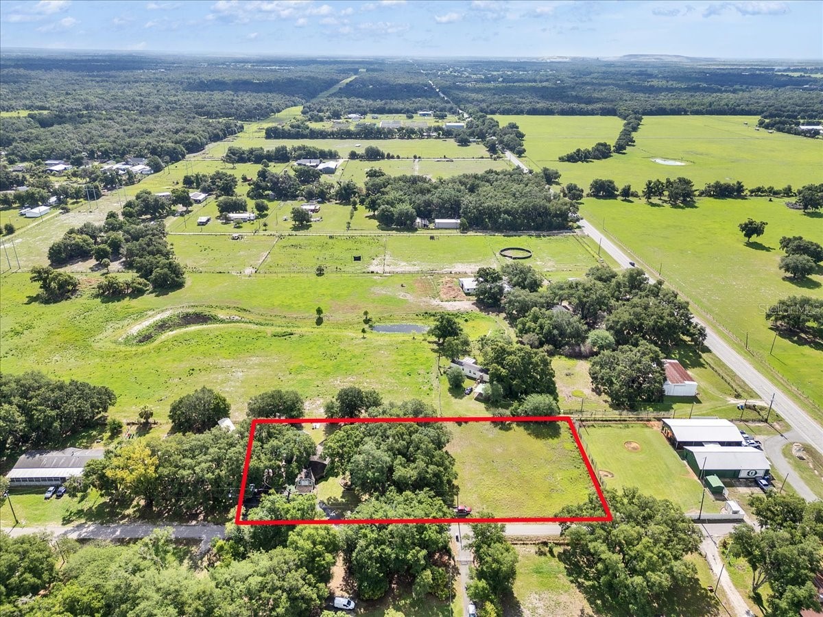 10424 Lyons Avenue Lithia FL 33547 TB8507283 image3