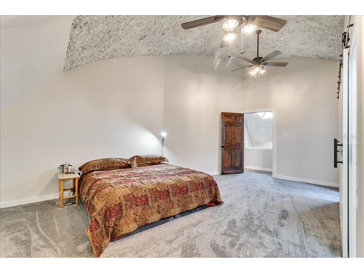 10424 Lyons Avenue Lithia FL 33547 TB8507283 image59