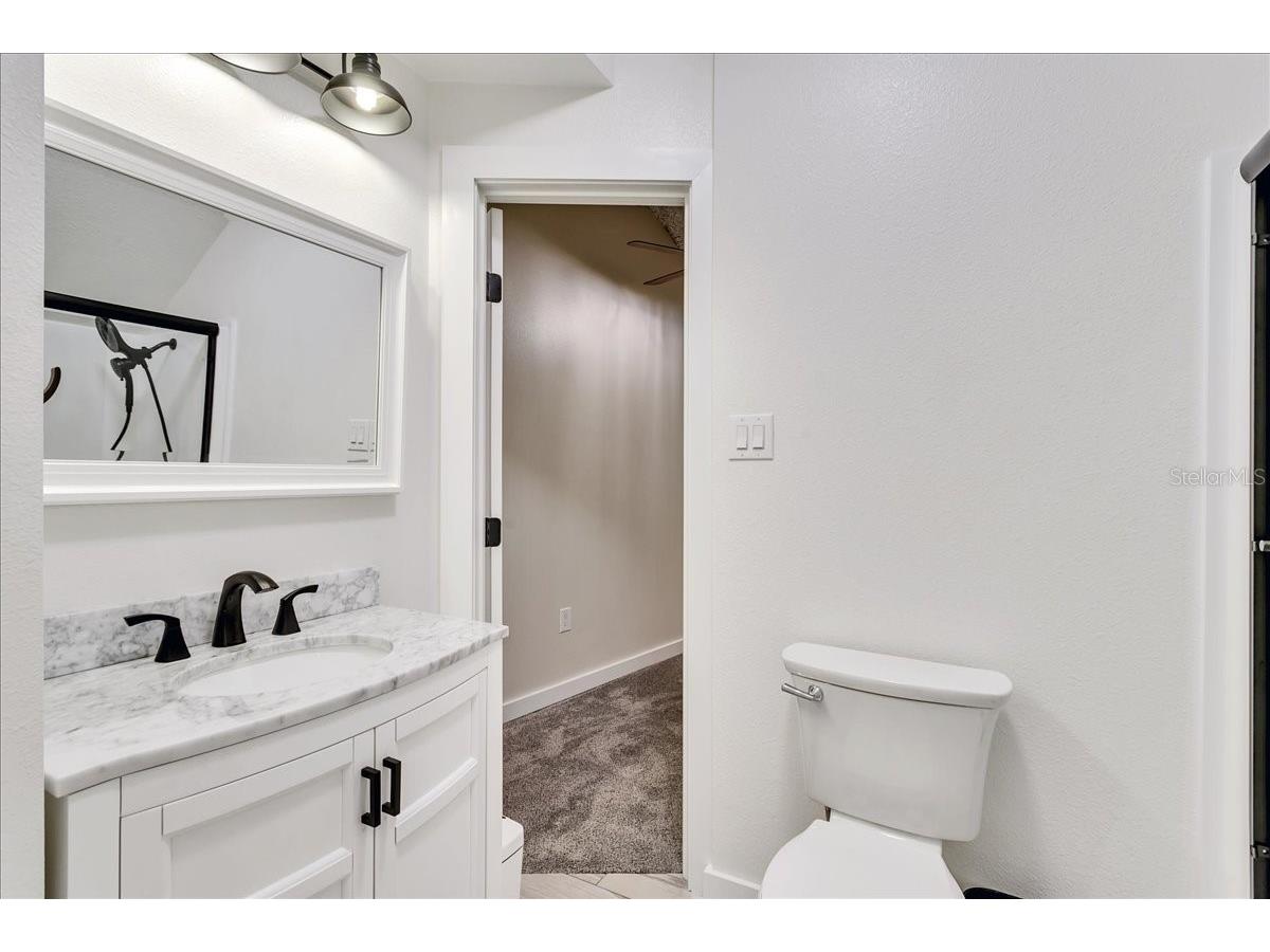 10424 Lyons Avenue Lithia FL 33547 TB8507283 image77