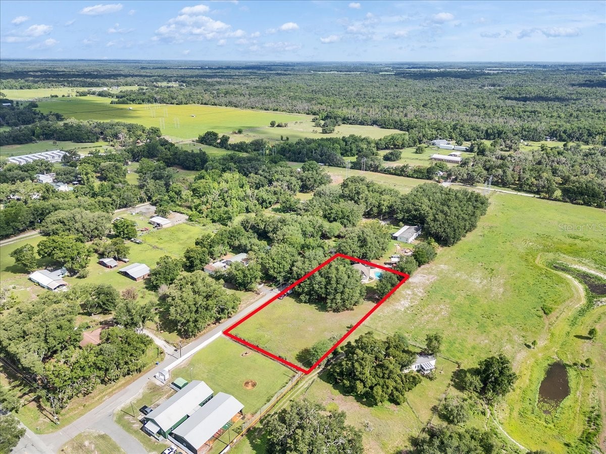 10424 Lyons Avenue Lithia FL 33547 TB8507283 image89