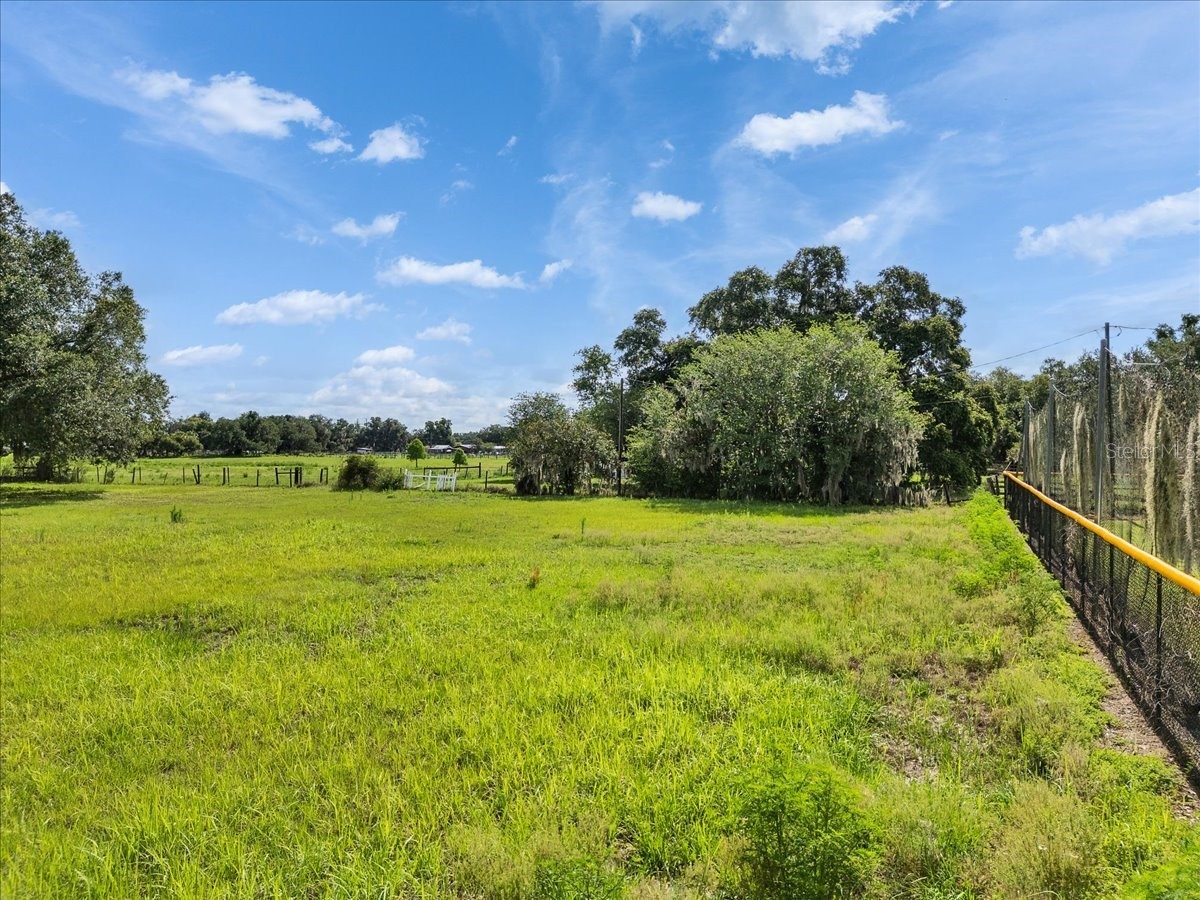 10424 Lyons Avenue Lithia FL 33547 TB8507283 image92