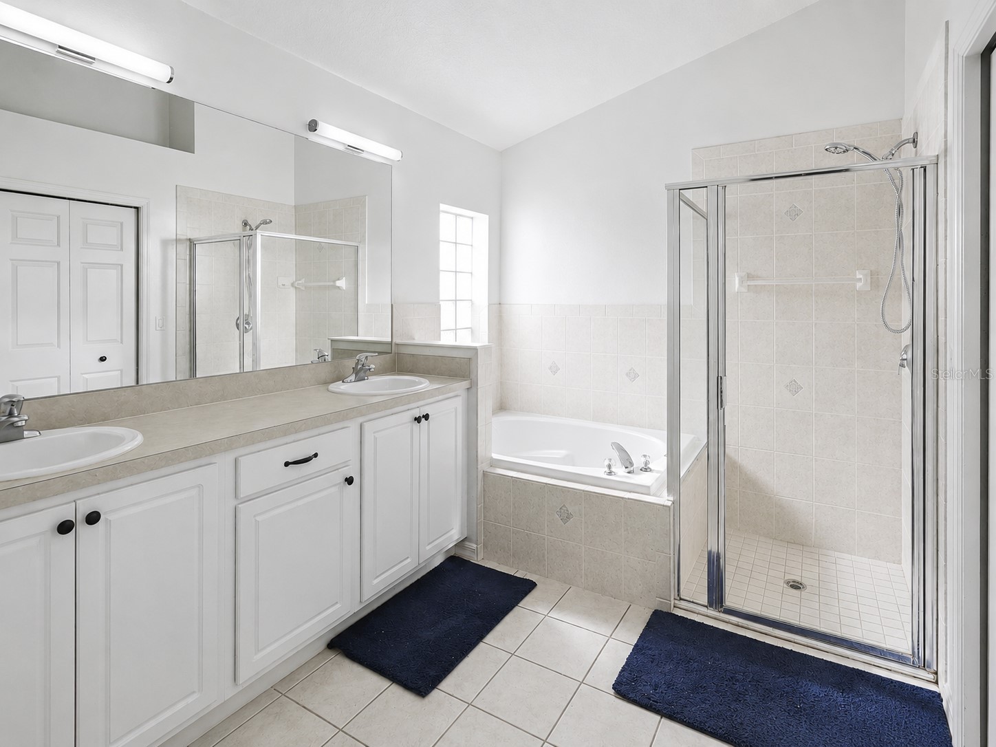 10424 Stonepark Drive Drive Leesburg FL 34788 O6406666 image14