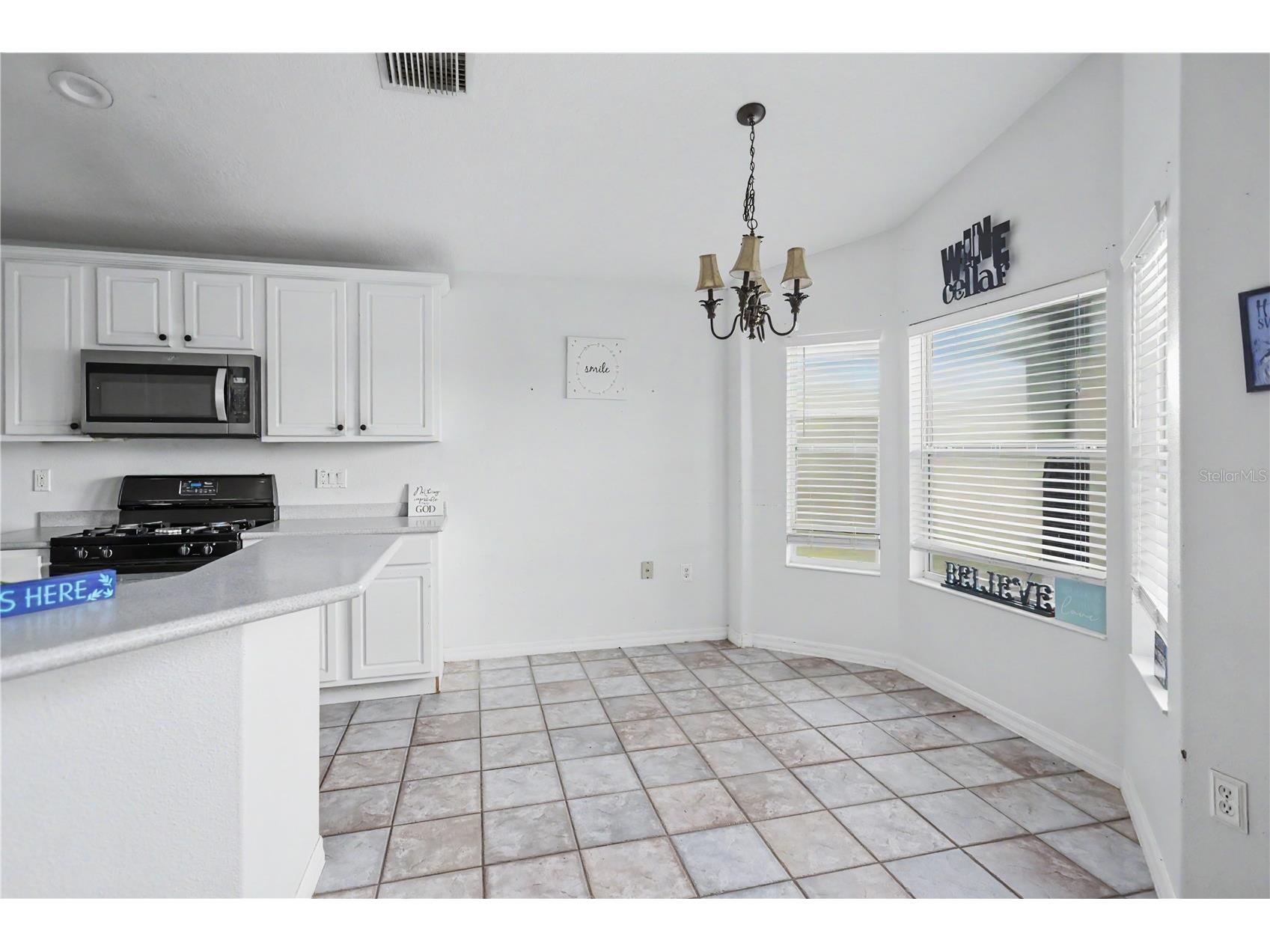 10424 Stonepark Drive Drive Leesburg FL 34788 O6406666 image9