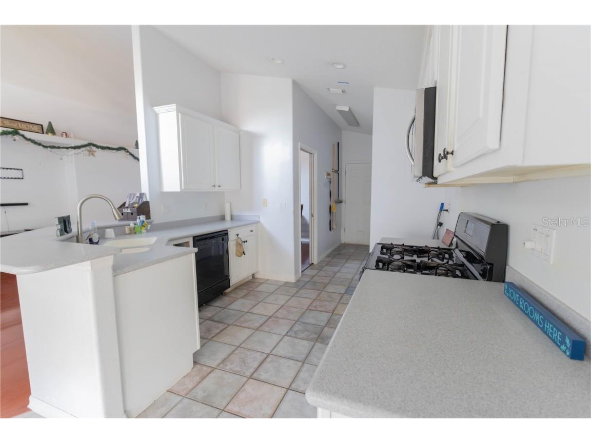 10424 Stonepark Drive Leesburg FL 34788 O6361481 image10